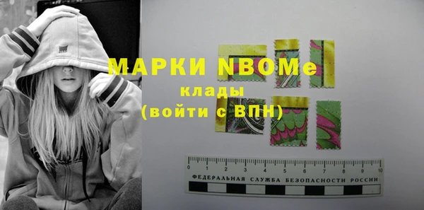 стаф Ельня